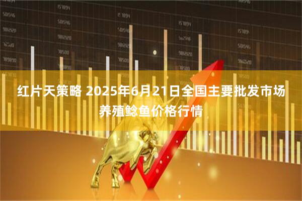 红片天策略 2025年6月21日全国主要批发市场养殖鲶鱼价格行情