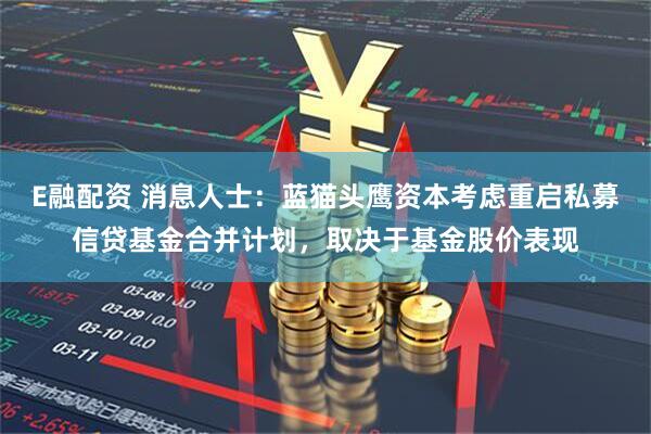 E融配资 消息人士：蓝猫头鹰资本考虑重启私募信贷基金合并计划，取决于基金股价表现