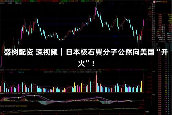 盛树配资 深视频｜日本极右翼分子公然向美国“开火”！