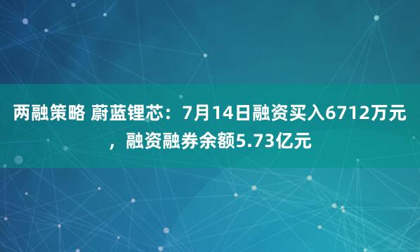 两融策略 蔚蓝锂芯：7月14日融资买入6712万元，融资融券余额5.73亿元